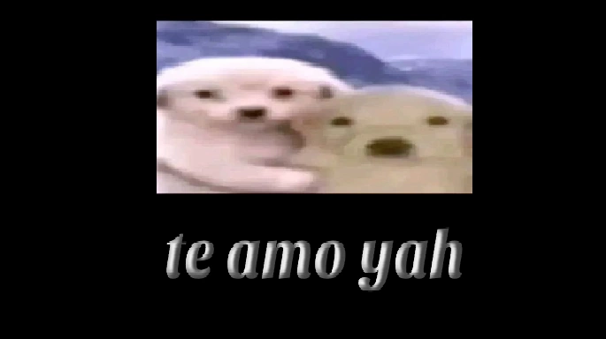   - 